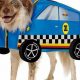 Cool Car Dog Costumes: Drive Your Pup in Style | My Caring Dog – Tips, Stories, and Care Guides for Loving Pet Owners