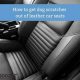 How To Get Dog Scratches Out Of Car | My Caring Dog – Tips, Stories, and Care Guides for Loving Pet Owners