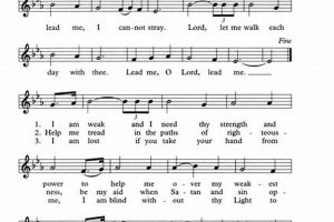 Don't Be Led On Inc: Best Car Dog Accessories | My Caring Dog – Tips, Stories, and Care Guides for Loving Pet Owners