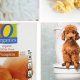 Dog Diarrhea Care: Home Remedies & Vet Tips | My Caring Dog – Tips, Stories, and Care Guides for Loving Pet Owners