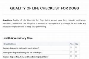 Ultimate Car Dog Checklist: Essentials for Safe Travels My Caring Dog – Tips, Stories, and Care Guides for Loving Pet Owners Ultimate Car Dog Checklist: Essentials for Safe Travels | My Caring Dog – Tips, Stories, and Care Guides for Loving Pet Owners