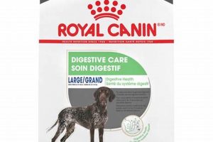 Best Royal Canin Digestive Care Food for Large Dogs | My Caring Dog – Tips, Stories, and Care Guides for Loving Pet Owners