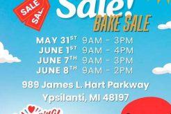 Top Dog Day Care in Ypsilanti, MI: Pampered Pups | My Caring Dog – Tips, Stories, and Care Guides for Loving Pet Owners