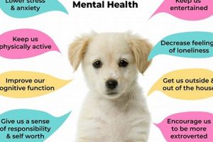 Mental Health Dogs | My Caring Dog – Tips, Stories, and Care Guides for Loving Pet Owners