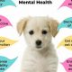 Mental Health Dogs | My Caring Dog – Tips, Stories, and Care Guides for Loving Pet Owners