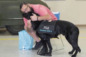Complete Guide to Service Dog Applications | My Caring Dog – Tips, Stories, and Care Guides for Loving Pet Owners