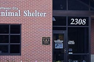 Best Pet Shelters in Missouri: Adopt a Dog | My Caring Dog – Tips, Stories, and Care Guides for Loving Pet Owners