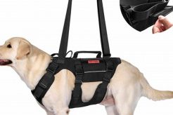 Best Dog Lift Harnesses For Car Travel: Easy & Safe My Caring Dog – Tips, Stories, and Care Guides for Loving Pet Owners Best Dog Lift Harnesses For Car Travel: Easy & Safe | My Caring Dog – Tips, Stories, and Care Guides for Loving Pet Owners