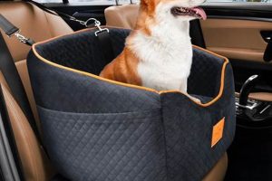 Best Dog Car Booster Seats for Small Dogs | My Caring Dog – Tips, Stories, and Care Guides for Loving Pet Owners