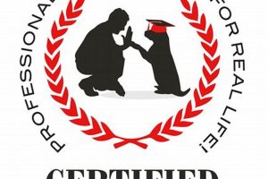Best Certified Canine Services & Expert Training | My Caring Dog – Tips, Stories, and Care Guides for Loving Pet Owners