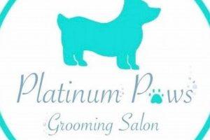 Car Dog Grooming: Platinum Paws Columbia MO | My Caring Dog – Tips, Stories, and Care Guides for Loving Pet Owners