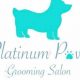 Car Dog Grooming: Platinum Paws Columbia MO | My Caring Dog – Tips, Stories, and Care Guides for Loving Pet Owners