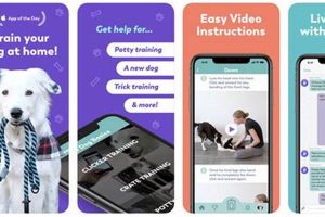 Best Dog Care App for Pet Owners: Top Picks & Guide My Caring Dog – Tips, Stories, and Care Guides for Loving Pet Owners Best Dog Care App for Pet Owners: Top Picks & Guide | My Caring Dog – Tips, Stories, and Care Guides for Loving Pet Owners