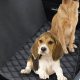 Best Dog Car Seat Covers for SUVs: Ultimate Guide | My Caring Dog – Tips, Stories, and Care Guides for Loving Pet Owners