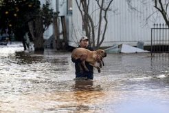 Best Dog Day Care in DC: Find Top Centers My Caring Dog – Tips, Stories, and Care Guides for Loving Pet Owners Best Dog Day Care in DC: Find Top Centers | My Caring Dog – Tips, Stories, and Care Guides for Loving Pet Owners