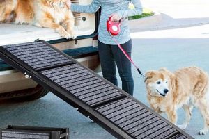 Best Dog Ramps For Car Back Seats & SUVs | My Caring Dog – Tips, Stories, and Care Guides for Loving Pet Owners