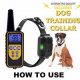 Best Dog Care Training Collar Manual & Guide | My Caring Dog – Tips, Stories, and Care Guides for Loving Pet Owners