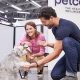 Best Petco Dog Care: Tips & Tricks | My Caring Dog – Tips, Stories, and Care Guides for Loving Pet Owners