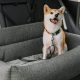 Best Car Back Seat Dog Beds for Safe Travel | My Caring Dog – Tips, Stories, and Care Guides for Loving Pet Owners