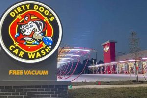Dirty Dog's Car Wash Birmingham Reviews | My Caring Dog – Tips, Stories, and Care Guides for Loving Pet Owners