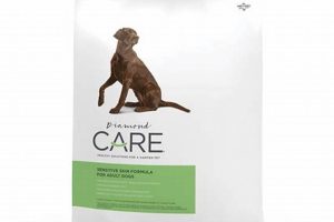 Critical Care Dog Food | My Caring Dog – Tips, Stories, and Care Guides for Loving Pet Owners