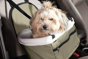 Best Dog Car Seats: Do You Need One? | My Caring Dog – Tips, Stories, and Care Guides for Loving Pet Owners