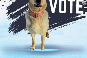 Best Canine Companions Rescue Center: Find Your Car Dog | My Caring Dog – Tips, Stories, and Care Guides for Loving Pet Owners