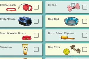 Essential Dog Needs Checklist for Car Travel My Caring Dog – Tips, Stories, and Care Guides for Loving Pet Owners Essential Dog Needs Checklist for Car Travel | My Caring Dog – Tips, Stories, and Care Guides for Loving Pet Owners