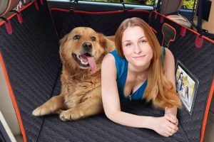 Best Dog Car Mattress: Ultimate Comfort & Protection My Caring Dog – Tips, Stories, and Care Guides for Loving Pet Owners Best Dog Car Mattress: Ultimate Comfort & Protection | My Caring Dog – Tips, Stories, and Care Guides for Loving Pet Owners
