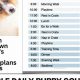 The Ultimate Car Dog Schedule & Guide | My Caring Dog – Tips, Stories, and Care Guides for Loving Pet Owners