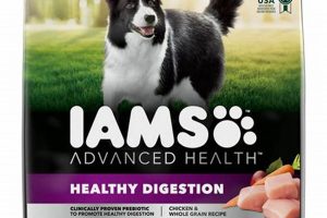 Best Iams Digestive Care Dog Food for Gut Health | My Caring Dog – Tips, Stories, and Care Guides for Loving Pet Owners
