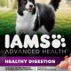 Best Iams Digestive Care Dog Food for Gut Health | My Caring Dog – Tips, Stories, and Care Guides for Loving Pet Owners