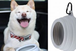 Best Spill-Proof Car Dog Bowls for Travel | My Caring Dog – Tips, Stories, and Care Guides for Loving Pet Owners