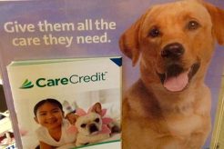 Care Credit Dog Food | My Caring Dog – Tips, Stories, and Care Guides for Loving Pet Owners