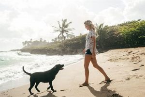 Top Dog Vacation Care: Kennels & More | My Caring Dog – Tips, Stories, and Care Guides for Loving Pet Owners