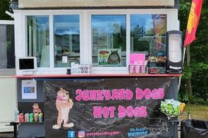 Best Places to Get a Dog for Your Car My Caring Dog – Tips, Stories, and Care Guides for Loving Pet Owners Best Places to Get a Dog for Your Car | My Caring Dog – Tips, Stories, and Care Guides for Loving Pet Owners