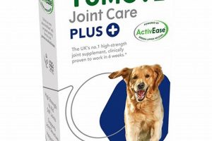 Best Joint Care for Dogs: A Guide | My Caring Dog – Tips, Stories, and Care Guides for Loving Pet Owners