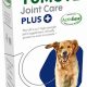 Best Joint Care for Dogs: A Guide | My Caring Dog – Tips, Stories, and Care Guides for Loving Pet Owners