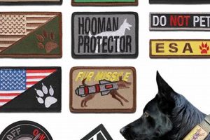 Best Pet K9 Breeds: Find Your Perfect Dog My Caring Dog – Tips, Stories, and Care Guides for Loving Pet Owners Best Pet K9 Breeds: Find Your Perfect Dog | My Caring Dog – Tips, Stories, and Care Guides for Loving Pet Owners