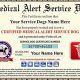 Best Service Dog Medical Alert Training & Certification | My Caring Dog – Tips, Stories, and Care Guides for Loving Pet Owners