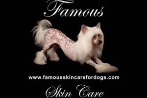 Famous Skin Care For Dogs | My Caring Dog – Tips, Stories, and Care Guides for Loving Pet Owners