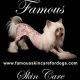 Famous Skin Care For Dogs | My Caring Dog – Tips, Stories, and Care Guides for Loving Pet Owners