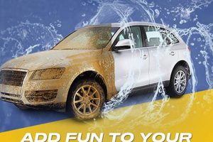 Top Dog Car Wash Coupons My Caring Dog – Tips, Stories, and Care Guides for Loving Pet Owners Top Dog Car Wash Coupons | My Caring Dog – Tips, Stories, and Care Guides for Loving Pet Owners