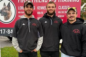 Top K9 Friends in Fishers: Dog Services | My Caring Dog – Tips, Stories, and Care Guides for Loving Pet Owners