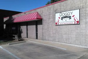 Best Dog Day Care in Wichita, KS | My Caring Dog – Tips, Stories, and Care Guides for Loving Pet Owners