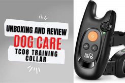 Best No-Shock Dog Training Collars: Humane & Effective | My Caring Dog – Tips, Stories, and Care Guides for Loving Pet Owners