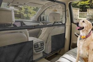 Top Dog Car Barriers for Safe Travel | My Caring Dog – Tips, Stories, and Care Guides for Loving Pet Owners