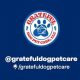 Show Gratitude: Best Dog Pet Care Guide | My Caring Dog – Tips, Stories, and Care Guides for Loving Pet Owners
