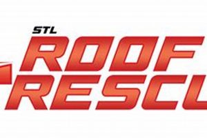 Safe Travels: STL Rescue for Car Dogs | My Caring Dog – Tips, Stories, and Care Guides for Loving Pet Owners