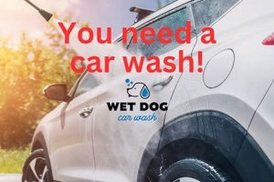Wet Dog Car Wash Prices My Caring Dog – Tips, Stories, and Care Guides for Loving Pet Owners Wet Dog Car Wash Prices | My Caring Dog – Tips, Stories, and Care Guides for Loving Pet Owners